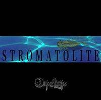 Outer Limits : stromatolite